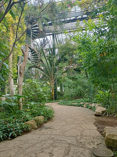 Große Gewächshäuser des Parc de la Tête d'Or, Lyon — Intérieur de la serre centrale du parc de la Tête d'Or, en automne 2025