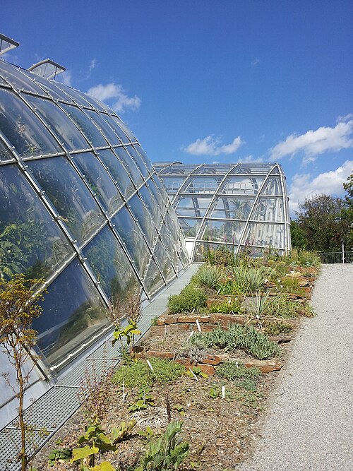 Glasshouses of the University of Graz Botanical Garden, Graz, Styria — Modern Greenhouse of the Graz Botanical Garden, Austria.
