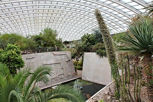 Great Glasshouse (Tŷ Gwydr Mawr), National Botanic Garden of Wales, Llanarthne, Wales — The Great Glasshouse, National Botanic Garden of Wales (Interior)