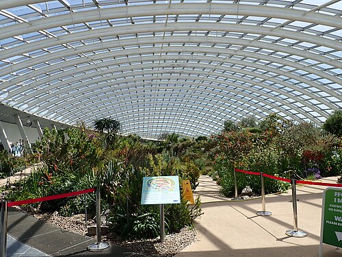 Great Glasshouse (Tŷ Gwydr Mawr), National Botanic Garden of Wales, Llanarthne, Wales — Inside the Great Glasshouse