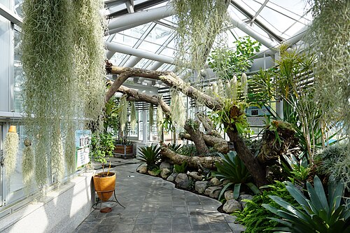 慶州東宮苑 東宮植物園, 慶尚北道慶州市（普門観光団地） — 慶州東宮苑 東宮植物園 — 1枚目
