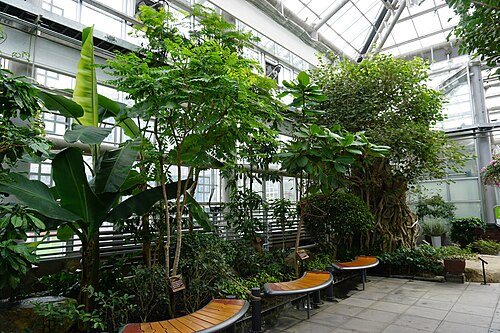 慶州東宮苑 東宮植物園, 慶尚北道慶州市（普門観光団地） — 慶州東宮苑 東宮植物園 — 2枚目