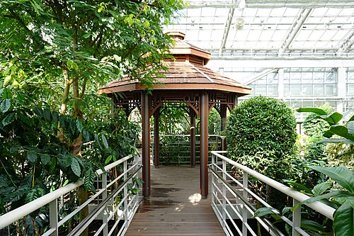 慶州東宮苑 東宮植物園, 慶尚北道慶州市（普門観光団地） — 慶州東宮苑 東宮植物園 — 3枚目