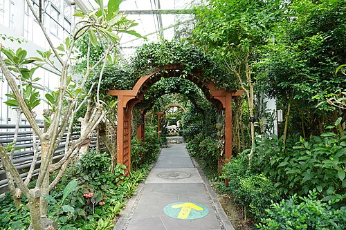 慶州東宮苑 東宮植物園, 慶尚北道慶州市（普門観光団地） — 慶州東宮苑 東宮植物園 — 4枚目
