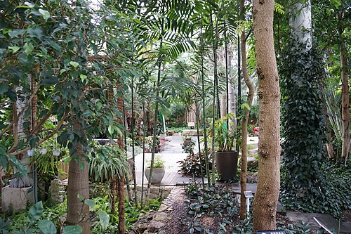 慶州東宮苑 東宮植物園, 慶尚北道慶州市（普門観光団地） — 慶州東宮苑 東宮植物園 — 5枚目