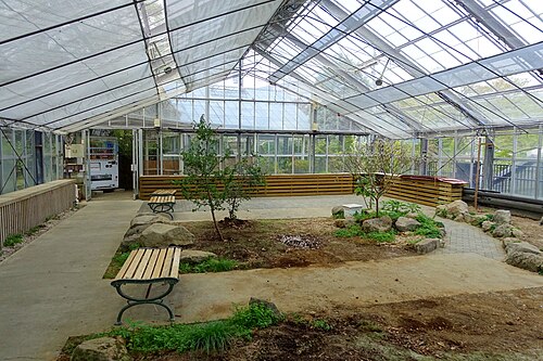 Tropische Gewächshäuser im Gōra-Park (箱根強羅公園 熱帯植物館), Hakone, Präfektur Kanagawa — Tropische Gewächshäuser im Gōra-Park — Ansicht 4