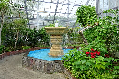 Tropische Gewächshäuser im Gōra-Park (箱根強羅公園 熱帯植物館), Hakone, Präfektur Kanagawa — Gora Park - Hakone, Kanagawa, Japan.