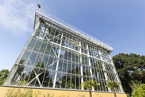 Großes Tropenhaus und Victoriahaus, Botanischer Garten Halle, Halle (Saale), Sachsen-Anhalt — Botanischer Garten in Halle Saale - Großes Palmenhaus