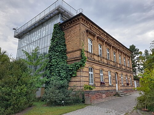 Großes Tropenhaus und Victoriahaus, Botanischer Garten Halle, Halle (Saale), Sachsen-Anhalt — Großes Tropenhaus im Botanischen Garten Halle