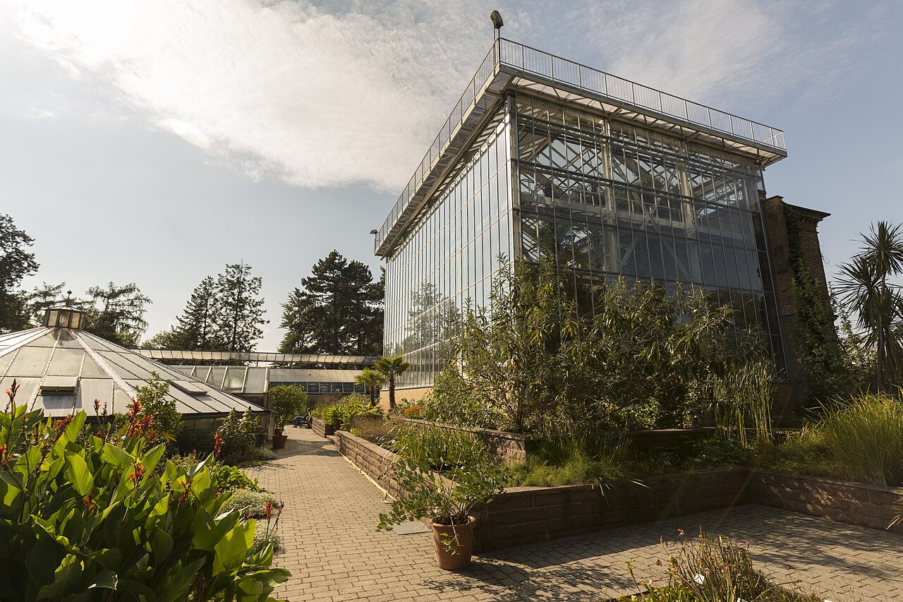 Großes Tropenhaus und Victoriahaus, Botanischer Garten Halle, Halle (Saale), Sachsen-Anhalt — Botanischer Garten in Halle Saale - Freiflächen am Großen Palmenhaus