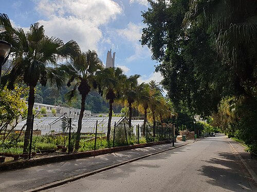 Jardin d'Essai du Hamma, Algier — Botanical garden El'Hamma Algiers