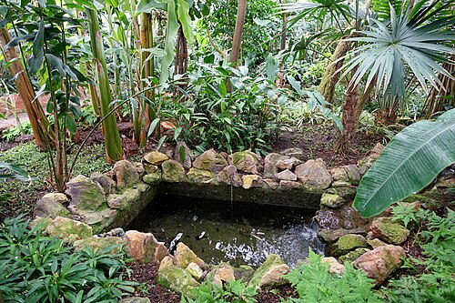 Schauhäuser des Botanischen Gartens der Universität Heidelberg, Heidelberg (Neuenheimer Feld), Baden-Württemberg — Schauhäuser des Botanischen Gartens der Universität Heidelberg — Ansicht 5