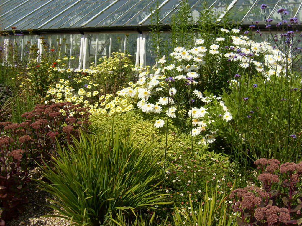 Orchideenhaus und Weinhaus, Helmsley Walled Garden, Helmsley, North Yorkshire — Helmsley Walled Garden