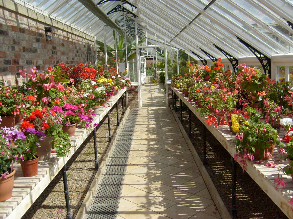 Orchideenhaus und Weinhaus, Helmsley Walled Garden, Helmsley, North Yorkshire — Helsmley Walled Garden greenhouse