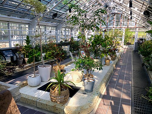 Gewächshaus des Botanischen Gartens Higashiyama (Nagoya), Nagoya — Gewächshaus des Botanischen Gartens Higashiyama — Ansicht 3