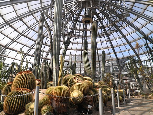 Botanischer Gewächshausgarten Tegarayama (姫路市立手柄山温室植物園), Himeji, Präfektur Hyōgo — Botanischer Gewächshausgarten Tegarayama — Ansicht 1
