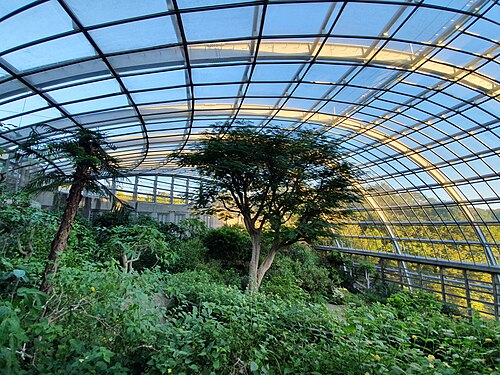Insectopia-Schmetterlingsgewächshaus, Tama Zoological Park (多摩動物公園 昆虫生態園), Hino, Tokio — Tama Zoological Park (park)