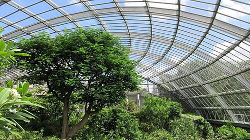 Insectopia-Schmetterlingsgewächshaus, Tama Zoological Park (多摩動物公園 昆虫生態園), Hino, Tokio — Insectopia-Schmetterlingsgewächshaus, Tama Zoological Park — Ansicht 2
