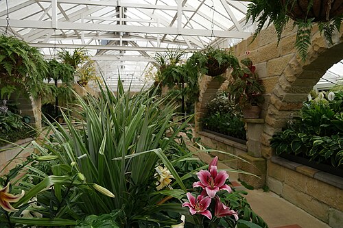 The Conservatory, Royal Tasmanian Botanical Gardens, Royal Tasmanian Botanical Gardens, Hobart, Tasmanien — The Conservatory, Royal Tasmanian Botanical Gardens — Ansicht 2