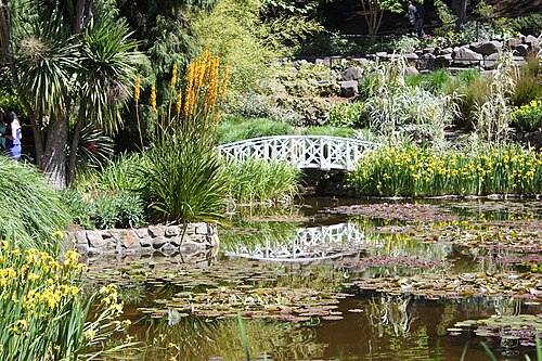 Conservatory des Royal Tasmanian Botanical Gardens, Royal Tasmanian Botanical Gardens, Hobart, Tasmanie — Hobart Botanical Garden