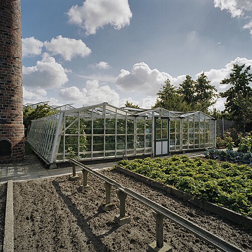 ウェストランド博物館の歴史的温室群（Westlands Museum voor Streek- en Tuinbouwhistorie）, 南ホラント州ホンセラースダイク — Westlands Museum voor Streek- en Tuinbouwhistorie: Overzicht houten warenhuis