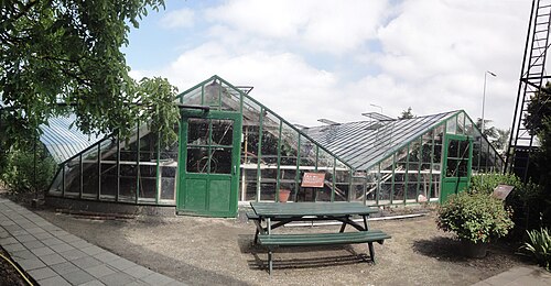 ウェストランド博物館の歴史的温室群（Westlands Museum voor Streek- en Tuinbouwhistorie）, 南ホラント州ホンセラースダイク — Greenhouse This is an image of rijksmonument number 518156 Information from structured…