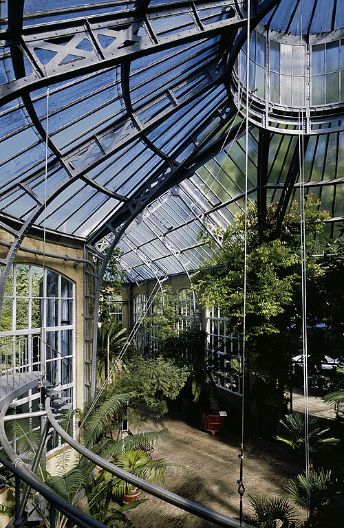 Palmenkas (Hortus Botanicus Amsterdam), Amsterdam — Palmenkas (Hortus Botanicus Amsterdam) — Ansicht 5