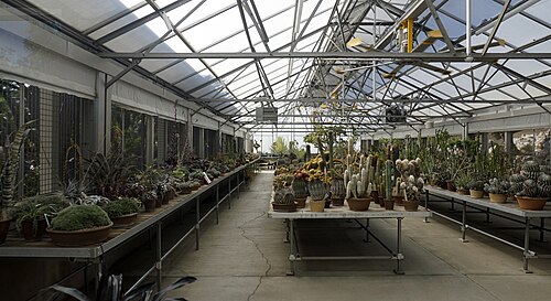 ハンティントンのデザート・ガーデン温室, カリフォルニア州サンマリノ — View inside of the Mary Alice Huntington Desert Conservatory in The Huntington Desert…