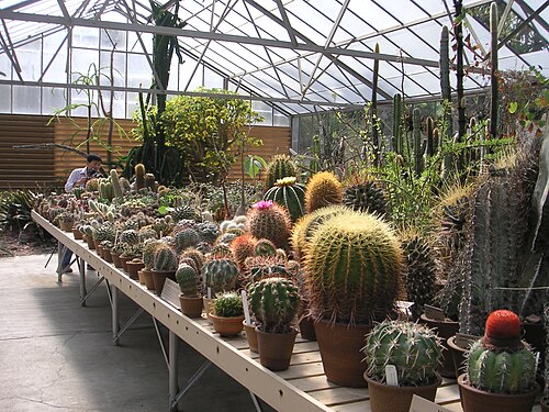 ハンティントンのデザート・ガーデン温室, カリフォルニア州サンマリノ — Interior View of the Desert Garden Conservatory at Huntington Gardens, San Marino…
