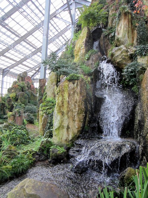 Four Seasons Hall (Gewächshaus), Botanischer Garten Uri Flower Hwaseong (화성시 우리꽃식물원 사계절관), Hwaseong (Paltan-myeon), Gyeonggi — photo 4