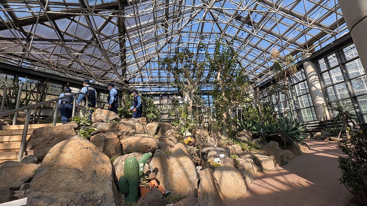 Gewächshäuser des Ichikawa Ornamental Botanical Garden (市川市観賞植物園 大温室・サボテン温室), Ichikawa (Ōmachi-Park), Präfektur Chiba — Gewächshäuser des Ichikawa Ornamental Botanical Garden — Ansicht 3