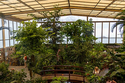 ドラゴ・バタフライパーク(Mariposario del Drago), カナリア諸島、テネリフェ島、イコド・デ・ロス・ビノス — At Mariposario del Drago 2022.