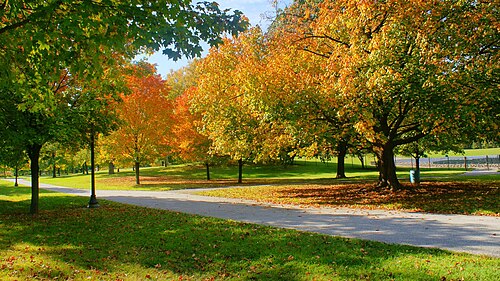 Garfield Park Conservatory & Sunken Garden, Indianapolis, Indiana — Garfield Conservatory