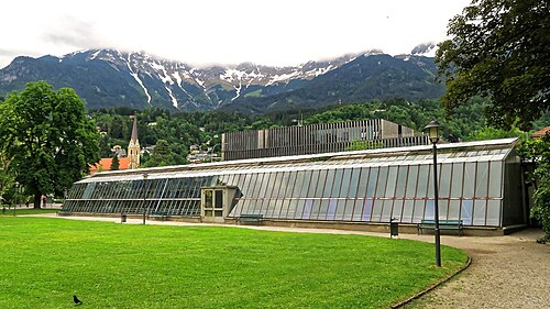 インスブルック、ホーフガルテンのパルメンハウス, インスブルック、チロル — Impressionen vom Innsbrucker Hofgarten im Juni 2019