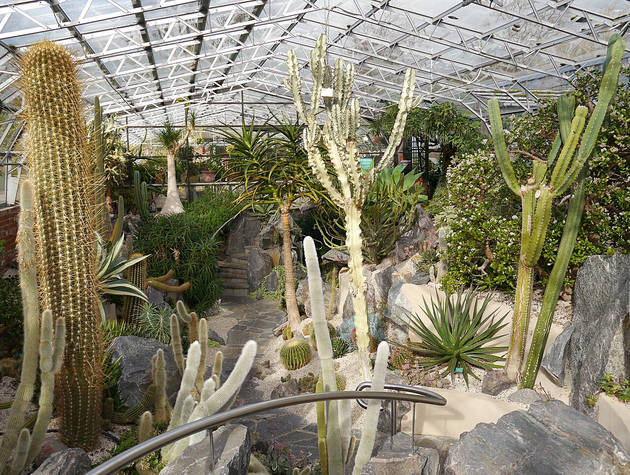 インヴァネス植物園の熱帯温室とサボテン温室, インヴァネス、ハイランド、スコットランド — Cactus House, Inverness Botanic Gardens
