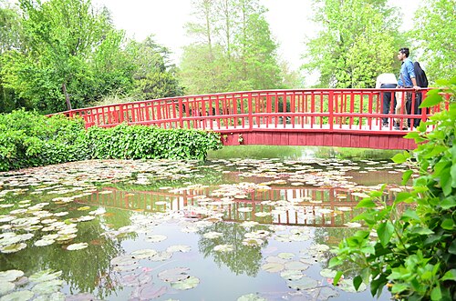 Serre tropicale du jardin des Fleurs (Bagh-e Golha), Ispahan, province d'Ispahan — باغ گل ها، اصفهان، ایران