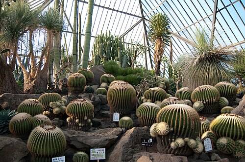 Pyramiden-Kakteengewächshäuser, Izu Shaboten Zoo (伊豆シャボテン動物公園), Itō, Präfektur Shizuoka — Izu Shaboten Zoo Mexico Greenhouse