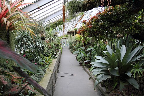 Schaugewächshäuser des Botanischen Gartens Montreal, Montreal, Québec — Greenhouse of Montreal Botanical Garden , Montreal, Quebec