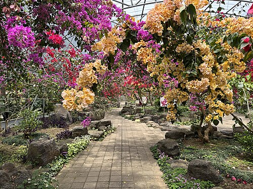 翰林公園の亜熱帯植物園の温室（한림공원 아열대식물원）, 済州市翰林邑（済州島） — Hallim Park; some pics are of the caves Hyeopjaegul (Hyeopjae Cave) and Ssangyonggul…