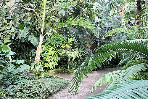 Glasshouses of the Jena Botanical Garden (Botanischer Garten Jena), Jena, Thuringia — Jena,botanical garden, tropical house