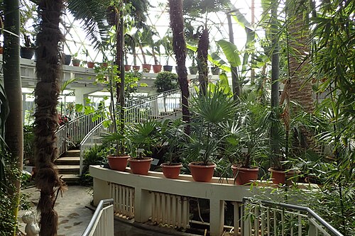 Gewächshäuser des Botanischen Gartens „Vasile Fati“, Jibou (Palmar und Acvariu), Jibou, Kreis Sălaj — Jibou Botanical Garden