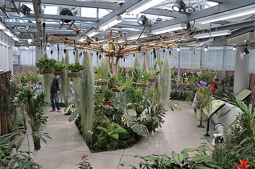 神代植物公園 大温室, 東京都調布市 — 神代植物公園 大温室 — 2枚目