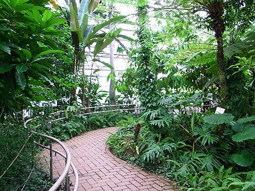 神代植物公園 大温室, 東京都調布市 — 神代植物公園 大温室 — 4枚目