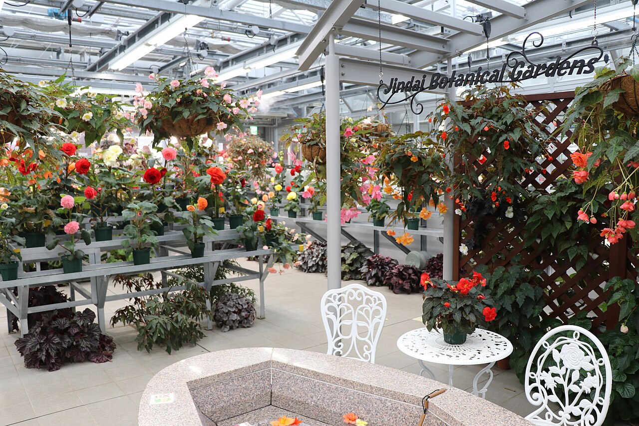 神代植物公園 大温室, 東京都調布市 — 神代植物公園 大温室 — 5枚目