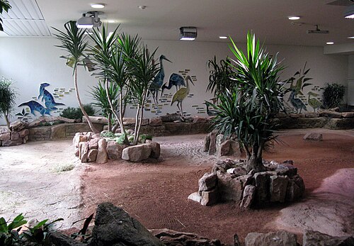 カールスルーエ動物園のエキゾーテンハウス（旧トゥラバート、Exotenhaus）, カールスルーエ、バーデン＝ヴュルテンベルク州 — Exotenhaus im ehemaligen Tullabad im Karlsruher Zoo, Schildkrötengehege mit alten…