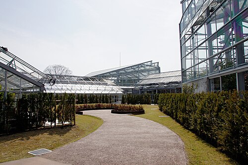 兵庫県立フラワーセンター 大温室, 兵庫県加西市 — 兵庫県立フラワーセンター 大温室 — 2枚目