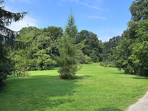 Großes Gewächshaus du Bergpark Wilhelmshöhe, Cassel, Hesse — Kassel, mountain park Wilhelmshöhe, larix