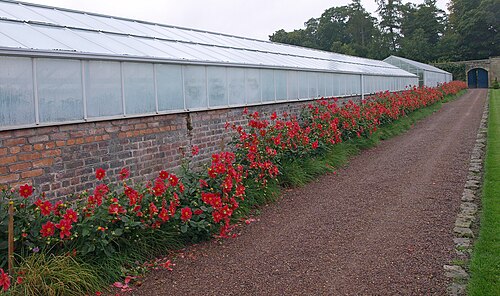 Gewächshäuser des ummauerten Gartens von Floors Castle, Floors Castle, bei Kelso (Scottish Borders), Schottland — Greenhouses, Floors Castle Estate