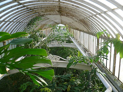Palm House, Kew, London — Inside the Palm House at Kew Gardens