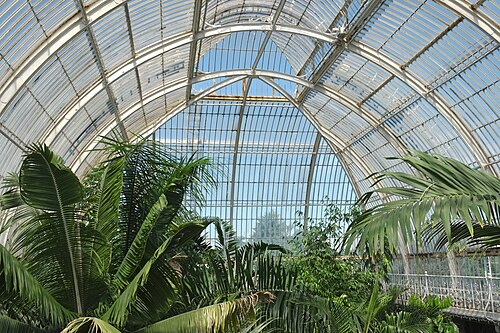Palm House, Kew, London — Inside the Palm House
